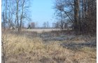 Property photo 12 - East Allen County - 55 Acre Land Auction